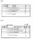 Fig. 02 - Method for solid phase diffusion of zinc into an InP-based photodiode and an InP photodiode made with the method