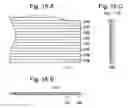 Fig. 10 - Connector, method for manufacturing the same, and wiring board structure employing it
