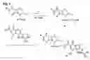 Fig. 06 - Mixed antibiotic codrugs
