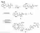 Fig. 07 - Mixed antibiotic codrugs