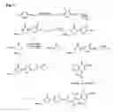 Fig. 08 - Mixed antibiotic codrugs