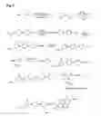 Fig. 09 - Mixed antibiotic codrugs