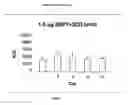 Fig. 06 - Novel chimeric analgesic peptides