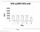 Fig. 08 - Novel chimeric analgesic peptides