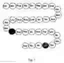 Fig. 02 - GLP-2 derivatives