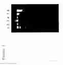 Fig. 08 - Pharmaceutical preparations and methods for inhibiting tumors