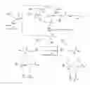 Fig. 02 - Selenohydroxy acids and their derivatives, applications in nutrition, cosmetics and pharmaceutics