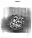 Fig. 02 - Pet artificial aggregate for the preparation of lightened concrete