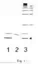 Fig. 02 - Antimicrobials against pathogenic bacteria and method for screening them
