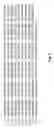 Fig. 02 - Soluble, functional apoptotic protease-activating factor 1 fragments