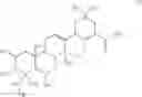 Fig. 04 - Method for preparing a extract rich in madecassoside and in terminoloside
