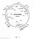 Fig. 06 - Nucleotide sequences that encode deregulated phosphoglycerate dehydrogenases of coryneform bacteria and method for producing L-serine