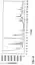 Fig. 11 - Novel crystal forms of atorvastatin hemi-calcium and processes for their preparation as well as novel processes for preparing other forms