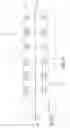 Fig. 07 - Blood flow reestablishment determination
