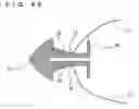 Fig. 28 - Lacrimal punctum plug