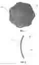 Fig. 02 - Reusable breast shield