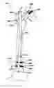 Fig. 01 - Intramedullary nail assembly