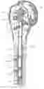 Fig. 01 - Surgical nail and screw fixation system