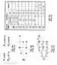 Fig. 02 - Spiral string matching method