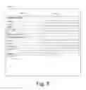 Fig. 09 - Mutually exclusive options in electronic forms