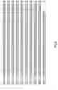 Fig. 10 - Transgenic expression cassettes for expression of nucleic acids in the plant blooms