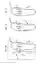 Fig. 09 - Shoe footbed system with interchangeable cartridges