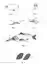 Fig. 02 - Fishing lure