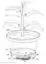 Fig. 01 - Weight change indicating apparatus