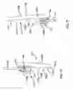 Fig. 09 - Rear slider window assembly for vehicle