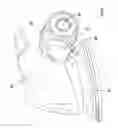 Fig. 07 - Dust extraction for power tools