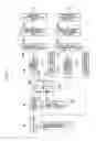 Fig. 02 - Torque sensor for vehicle steering system