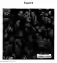 Fig. 07 - Method for producing fine, low bulk density, metallic nickel powder