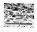 Fig. 06 - Heat-sensitive lithographic printing plate precursor