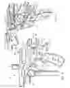 Fig. 04 - Paintball marker featuring high effectiveness airflow