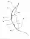 Fig. 01 - Mask having a scenting means, and method for blocking out unpleasant odors