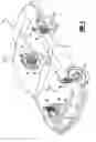 Fig. 02 - Shock absorber having a hydraulic stop