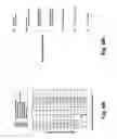 Fig. 06 - Steam generator for cooking apparatus