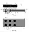 Fig. 02 - Integrated circuit component and mounting method thereof