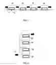 Fig. 07 - Vessel inspection method and vessel inspection device
