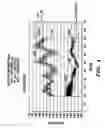 Fig. 05 - Spatial light modulator calibration