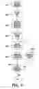 Fig. 06 - Spatial light modulator calibration