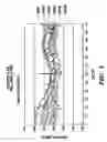 Fig. 10 - Spatial light modulator calibration