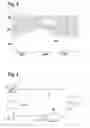 Fig. 03 - Method and device for signaling several pieces of information that are relevant for operating a motor vehicle