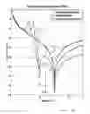 Fig. 07 - Noise attenuation apparatus for borehole telemetry