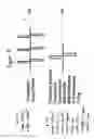 Fig. 06 - Device for emission of high frequency signals