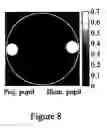 Fig. 08 - Radially polarized light in lithographic apparatus