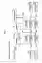 Fig. 02 - Data transmission processing apparatus and program