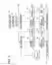 Fig. 07 - Image forming apparatus and image forming method