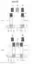 Fig. 26 - Lens driver