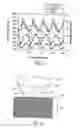 Fig. 03 - Rewritable optical record carrier